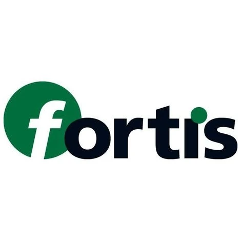 FP Tournevis VDE PZ0x 60mm FORTIS 1 FP Tournevis VDE PZ0x 60mm FORTIS