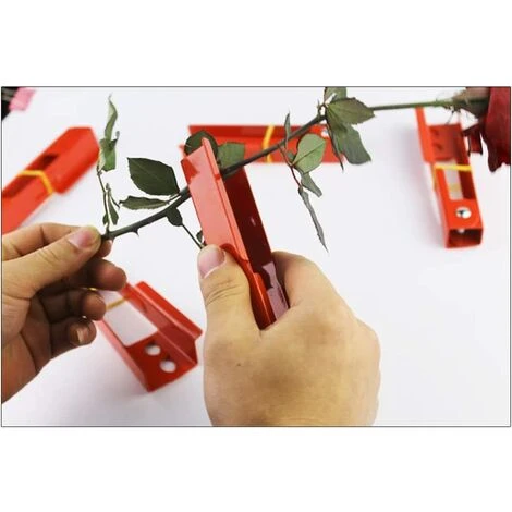 GALOZZOIT Effeuilleuse De Feuilles De Rose, Pince à Dénuder Et à Dénuder En Forme De Rose, Outillage De Jardin, Pour Fleurs Et Fleurs 4 GALOZZOIT Effeuilleuse De Feuilles De Rose, Pince à Dénuder Et à Dénuder En Forme De Rose, Outillage De Jardin, Pour Fleurs Et Fleurs – Image 4